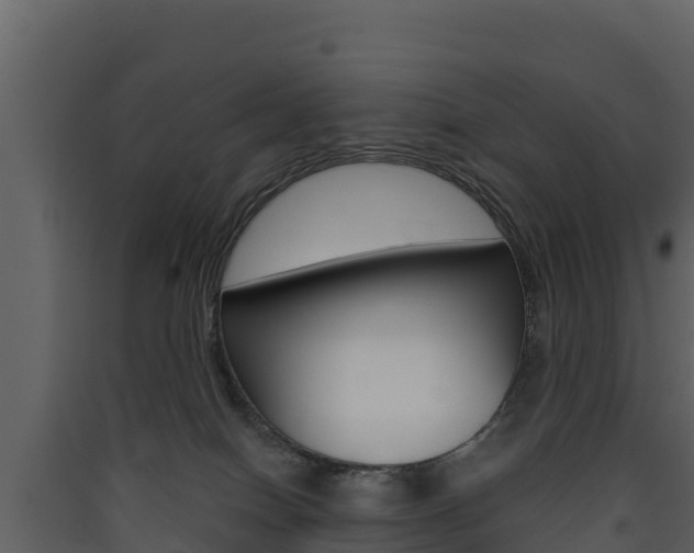 X0000090420086200707130955
