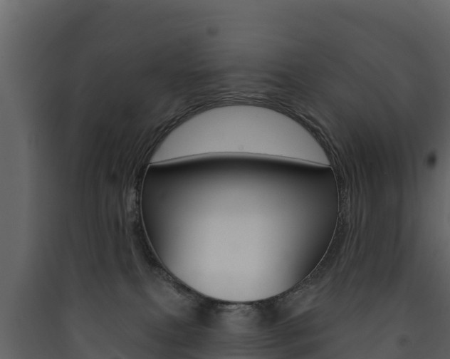 X0000090420087200707130955