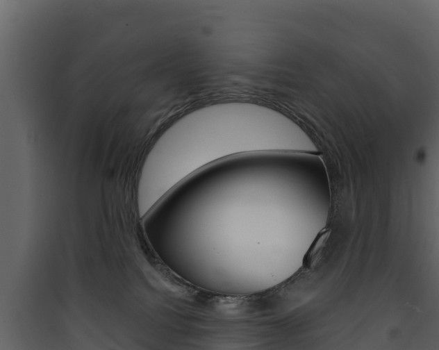 X0000090420088200707130955