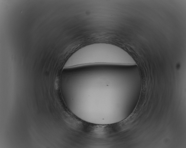 X0000090420090200707130955
