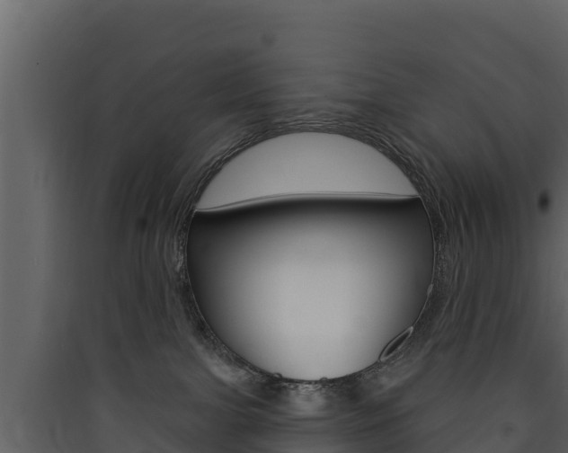 X0000090420091200707130955