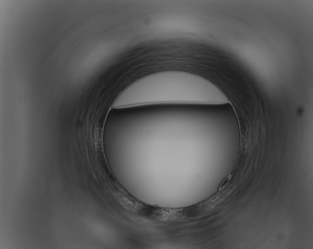 X0000090420093200707130956