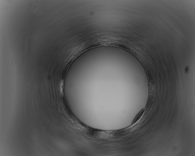 X0000090420094200707130956