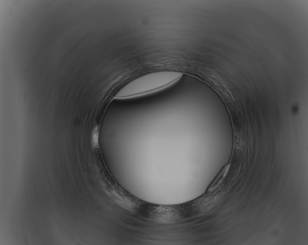 X0000090420095200707130956
