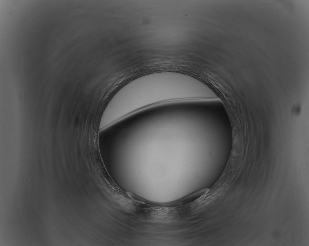 X0000090420096200707130956