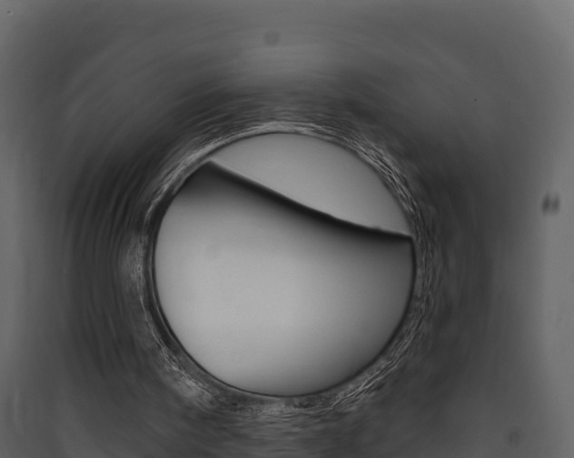 X0000090420098200707130955