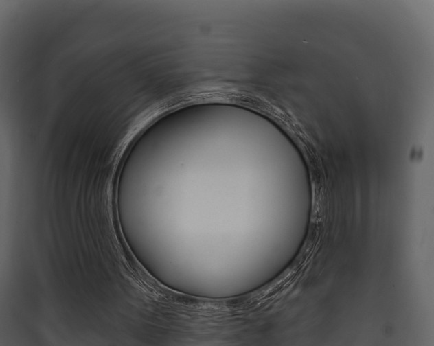 X0000090420099200707130955