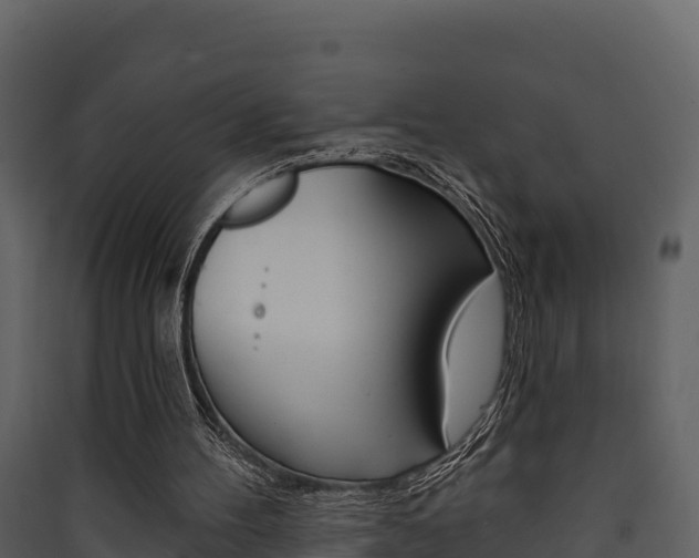 X0000090420100200707130955