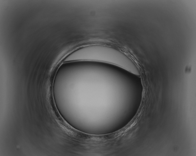 X0000090420101200707130955