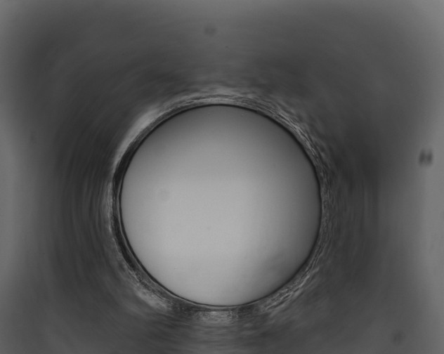 X0000090420102200707130955