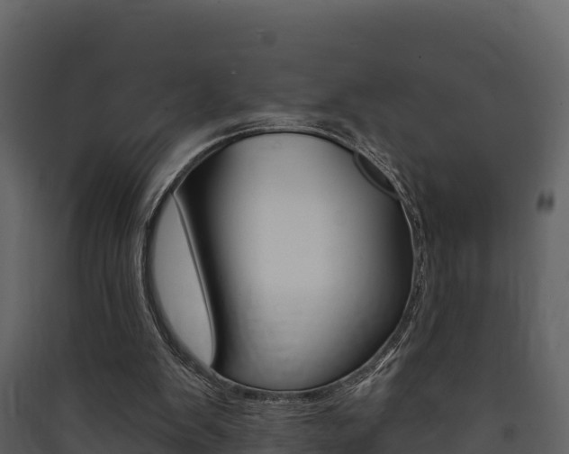 X0000090420103200707130955