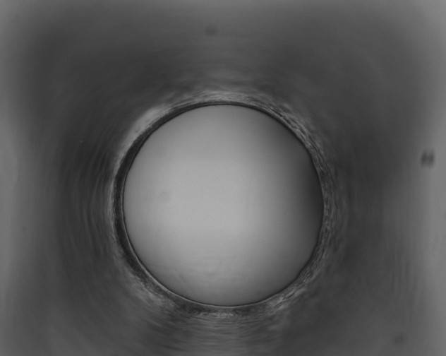 X0000090420104200707130955