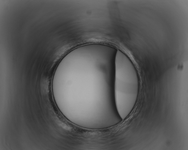 X0000090420106200707130955