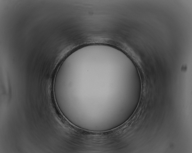 X0000090420107200707130955