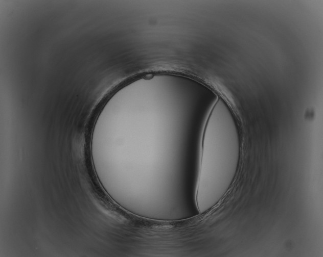 X0000090420108200707130955
