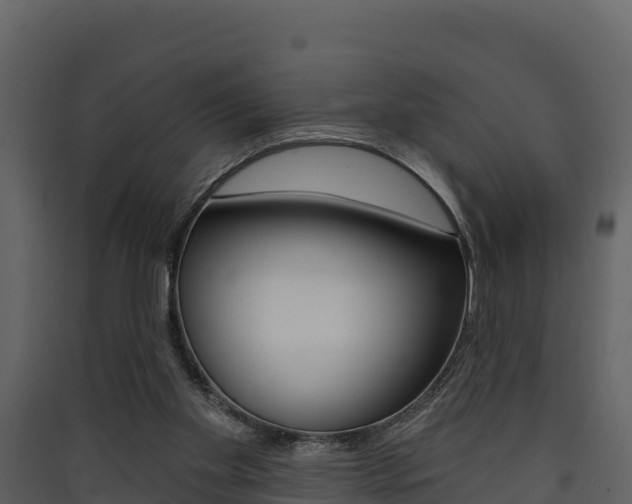 X0000090420109200707130955