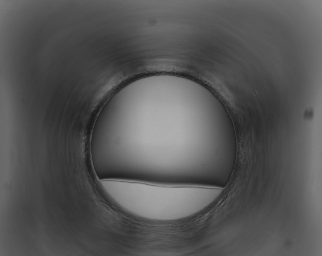 X0000090420111200707130955