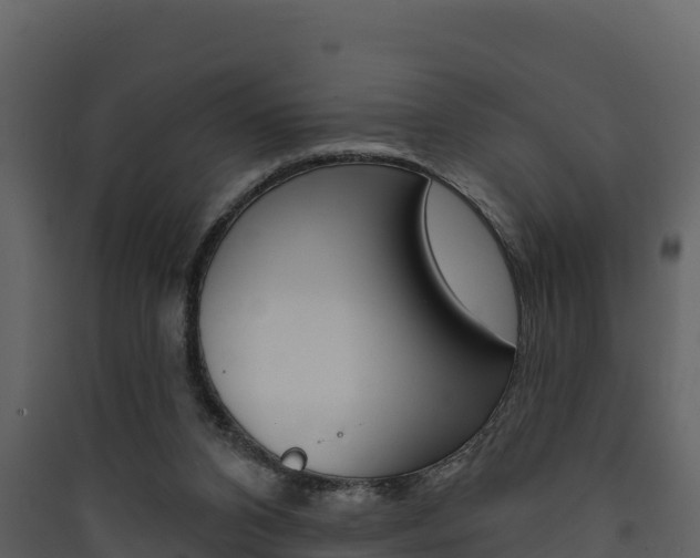 X0000090420112200707130955