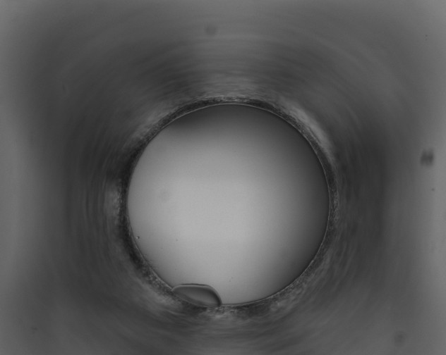 X0000090420113200707130955