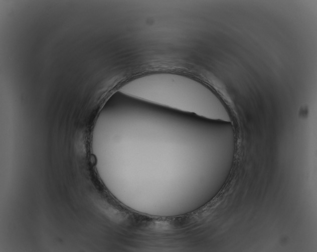 X0000090420114200707130955