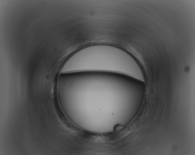 X0000090420115200707130955