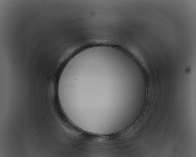 X0000090420116200707130955