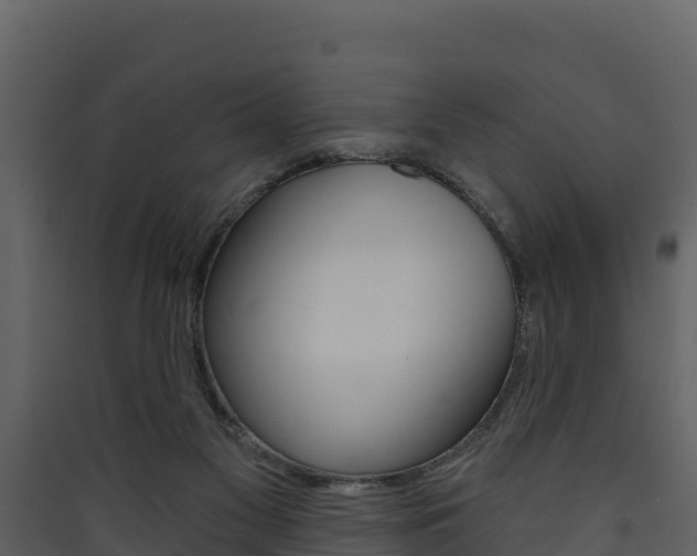 X0000090420117200707130955