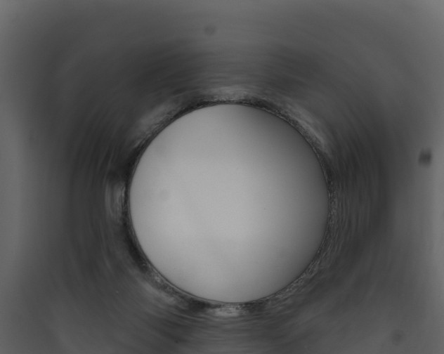 X0000090420118200707130955