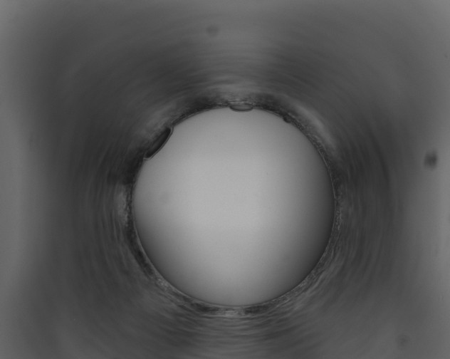 X0000090420121200707130955