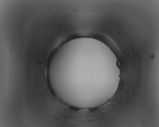 X0000090420124200707130955