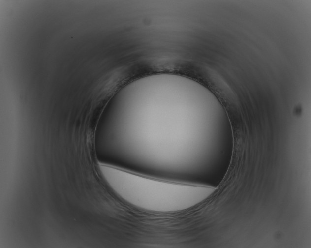 X0000090420125200707130955