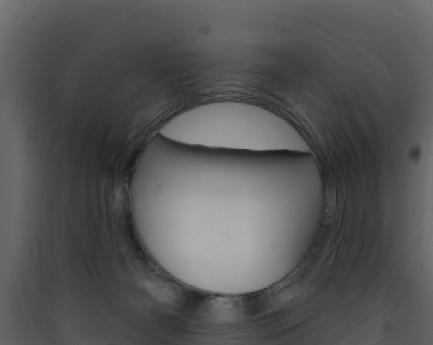 X0000090420126200707130955
