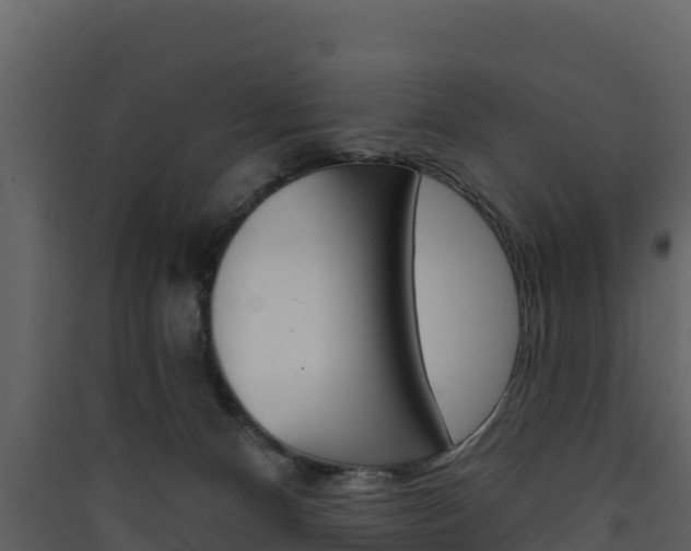 X0000090420128200707130955