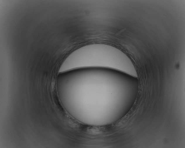 X0000090420129200707130955