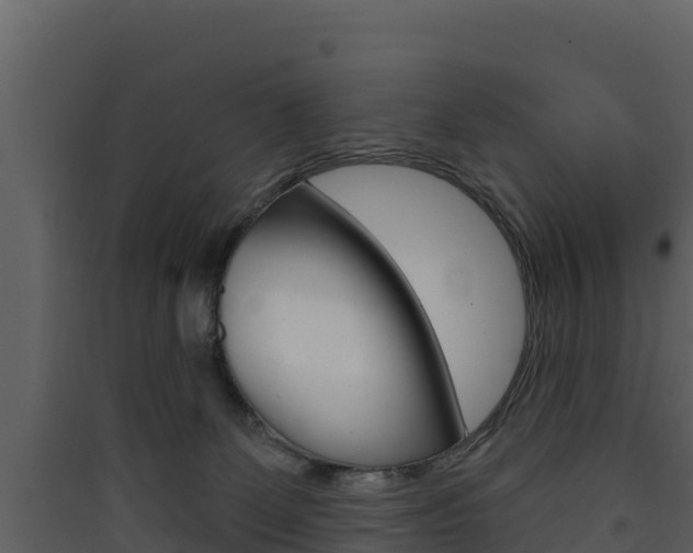 X0000090420131200707130955