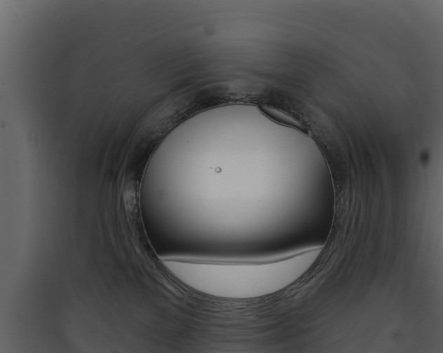 X0000090420137200707130954