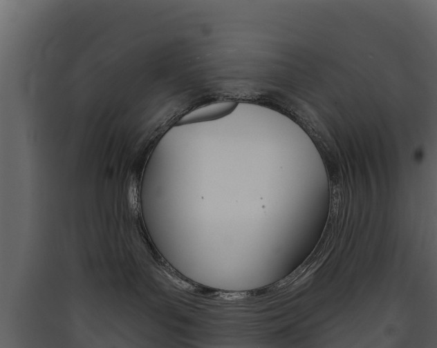 X0000090420143200707130954