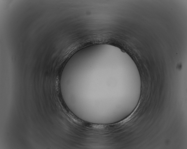 X0000090420144200707130954