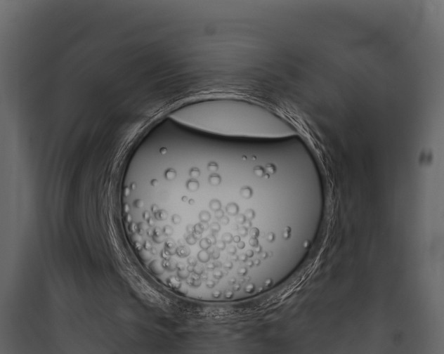 X0000090420145200707130954