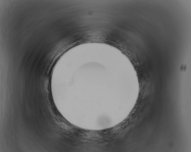 X0000090420146200707130954