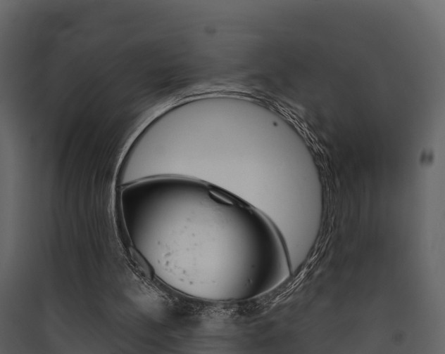 X0000090420148200707130954