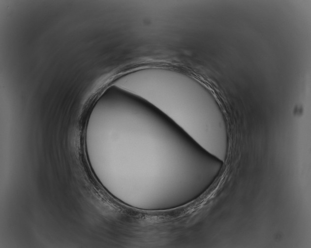 X0000090420149200707130954