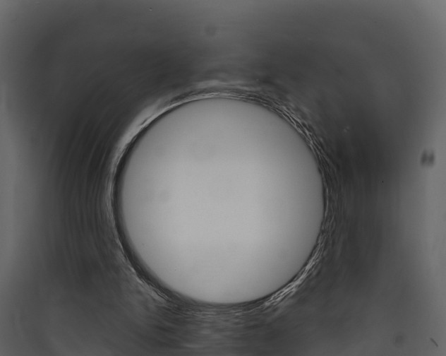 X0000090420150200707130954
