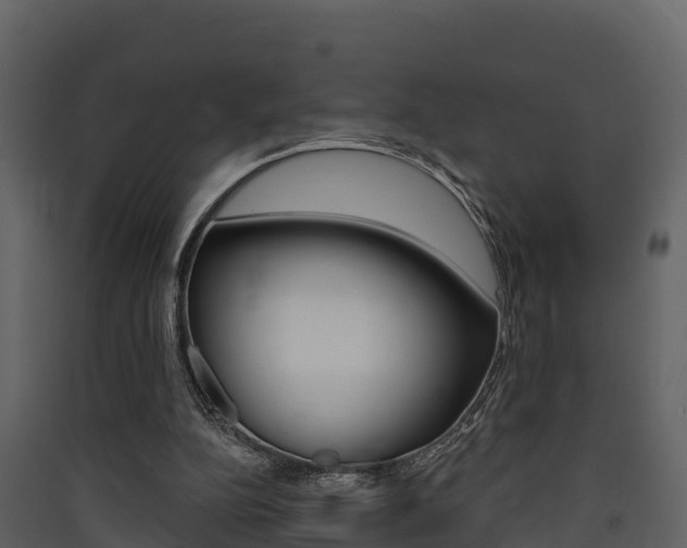 X0000090420152200707130954