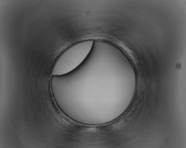 X0000090420153200707130954
