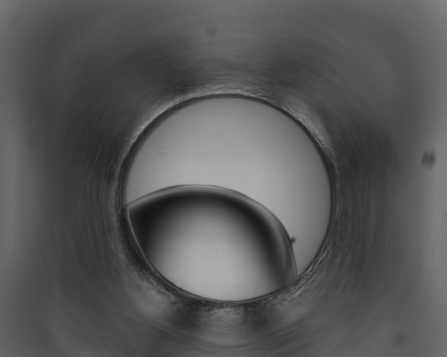 X0000090420156200707130954