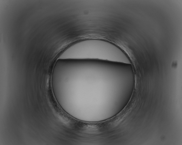 X0000090420157200707130954