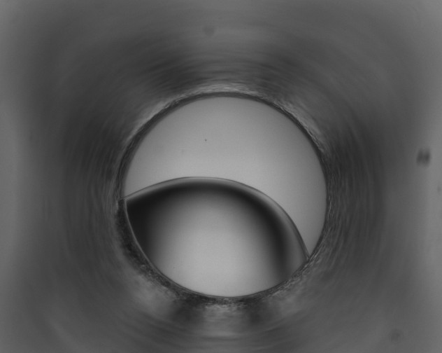 X0000090420160200707130954