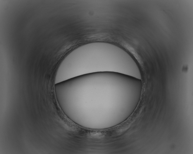 X0000090420161200707130954
