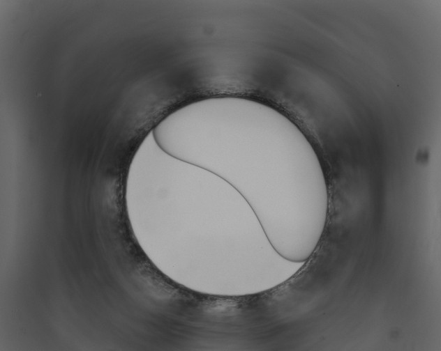 X0000090420162200707130954